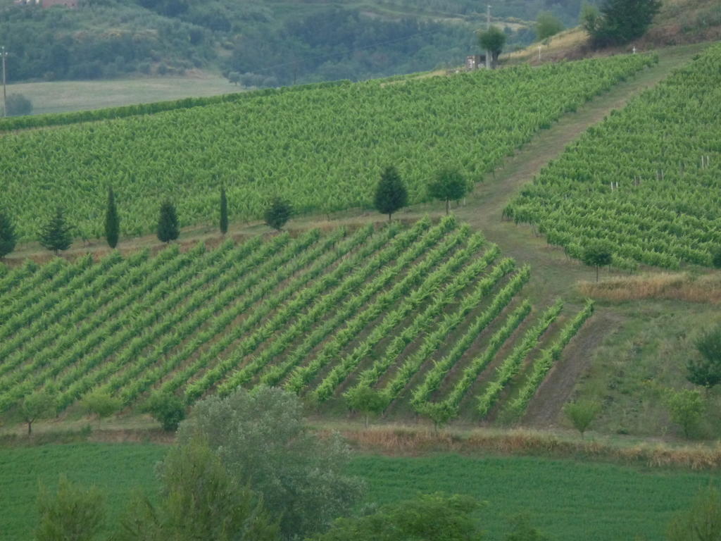 サン・ミニアート Azienda Agricola Ed Agrituristica Cafaggioヴィラ エクステリア 写真